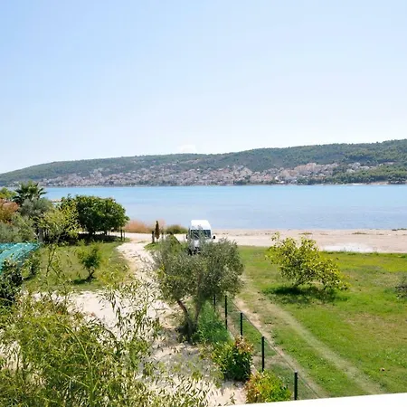 Olive Trogir