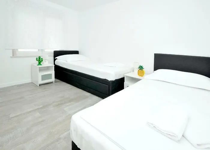 Olive Trogir