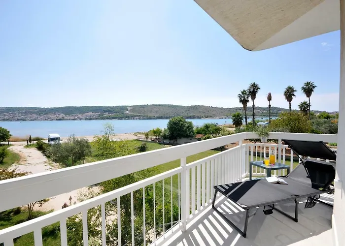 Olive Trogir