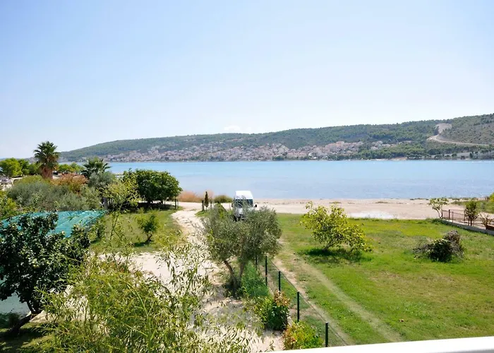 Olive Trogir