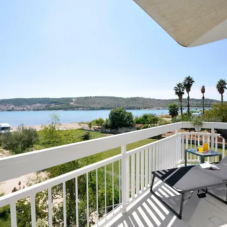 Olive Trogir