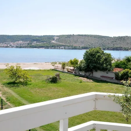 Olive * טרוגיר