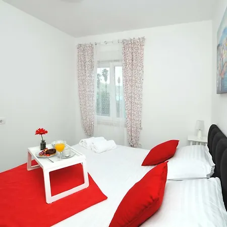 Olive * טרוגיר