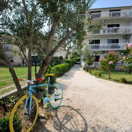 Olive Trogir